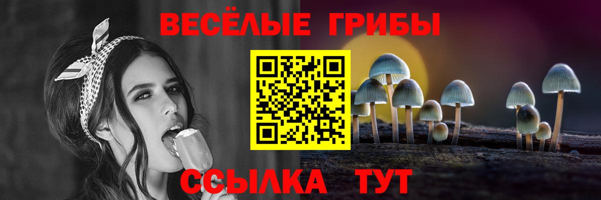 Псилоцибиновые грибы GOLDEN TEACHER Джанкой